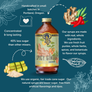 Spicy Ginger Syrup - 64oz Case of 2