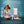 Rose Cordial 12oz Case of 6 — view 3