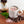 Peppermint Syrup — view 8