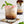 Peppermint Syrup 12oz Case of 6 — view 7
