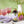 Lavender Syrup 12oz Case of 6