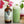 3.4 oz - Cane Sugar Simple Syrup — view 2