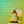 NRG: Yuzu-Lime — view 3