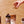 Hazelnut Syrup — view 5