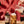 Caramel Syrup - 64oz Case of 2 — view 2