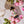 Rose Cordial 12oz Case of 6 — view 6