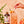 Rose City Tonic Syrup 12oz Case of 6 — view 5