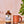 Caffeinated Simple Syrup — view 5