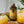 Margarita classic cocktail