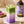 Ube Syrup - 3.4 oz Case of 12