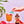 Spicy Paloma Syrup — view 3